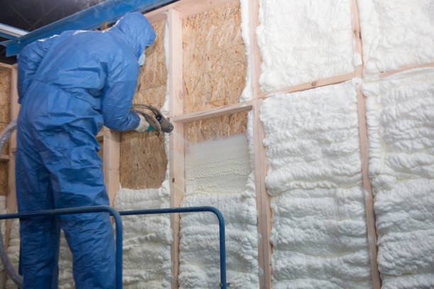 Best Crawl Space Insulation  in Llano, TX